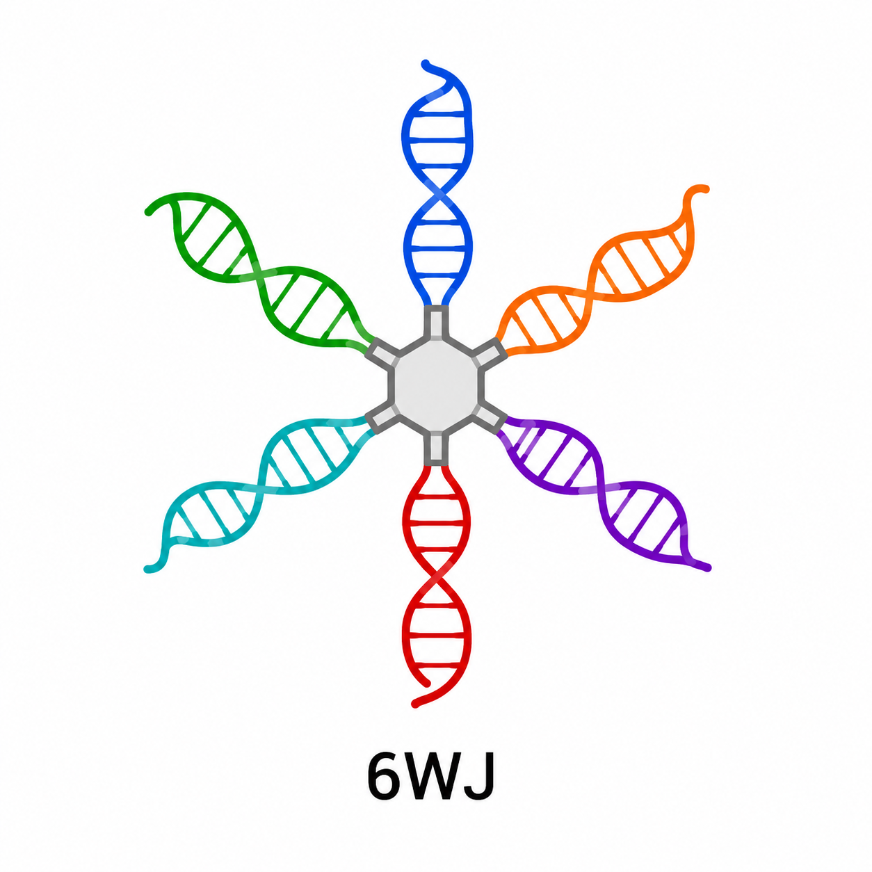 6WJ RNA Nanoparticle